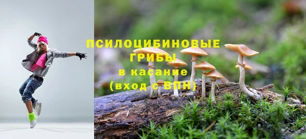каннабис Аркадак